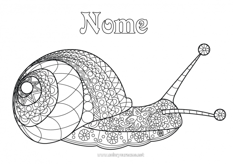 Página de desenho para imprimir Caracol Colorações Complexas Zentangle