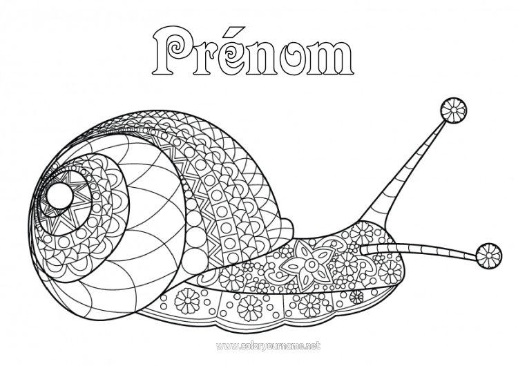 Coloriage à imprimer Escargot Coloriages complexes Zentangle