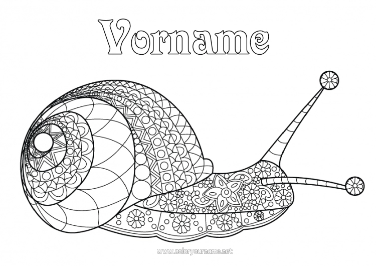 Malvorlage zum Ausdrucken Schnecke Komplexe Ausmalbilder Zentangle