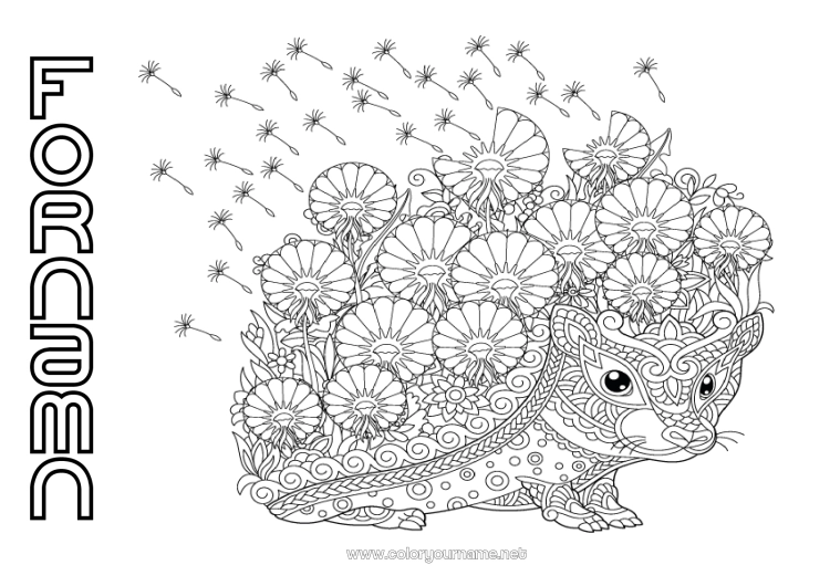 Färgläggningssida att skriva ut Blommor Igelkott Mandala Höst Vår Djur Skogens djur