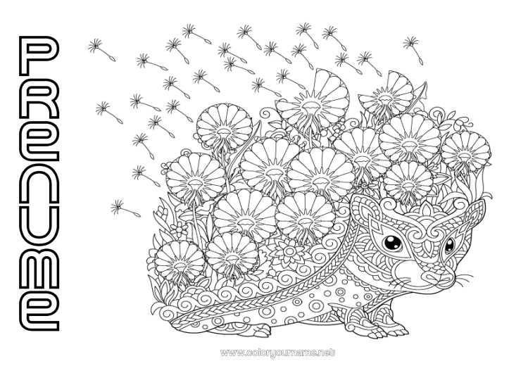 Pagină de colorat de imprimat Flori Arici Mandala Toamnă Primăvară Animal Animale din pădure