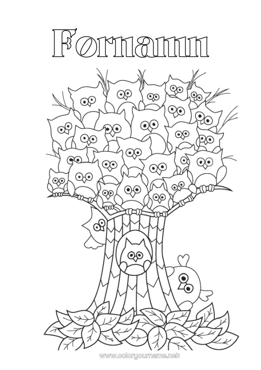 Färgläggningssida att skriva ut Uggla, Hök Djur Träd Zentangle Fåglar och flygande däggdjur