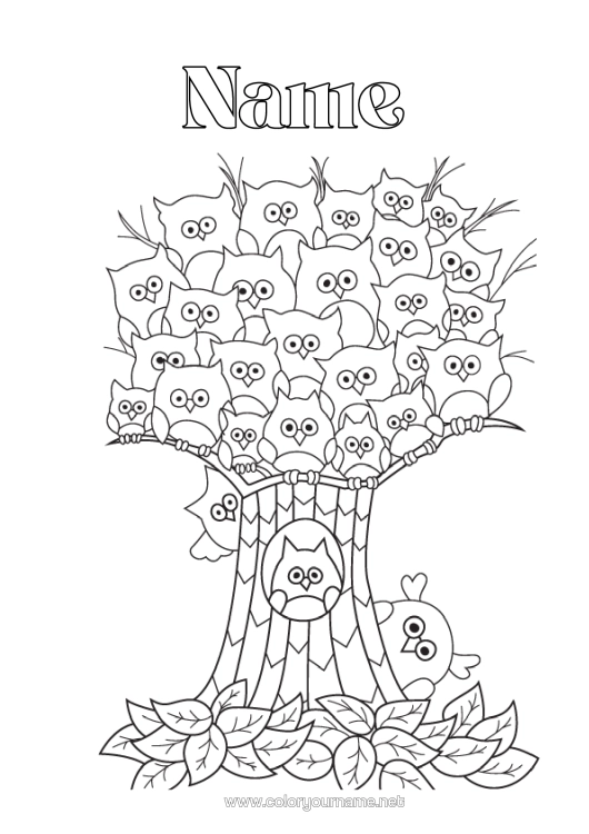 Colouring page to print Owl, Tawny Owl Animal Tree Zentangle Birds And Flying Mammals
