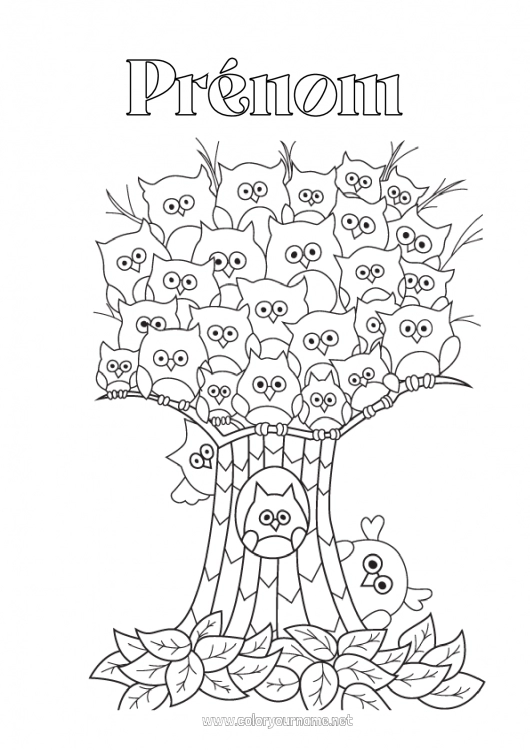 Coloriage à imprimer Chouette, Hibou Animal Arbre Zentangle Oiseaux et mammifères volants