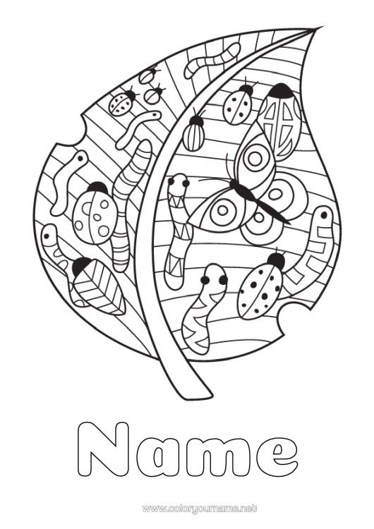 Colouring page to print Animal Leaves Insects