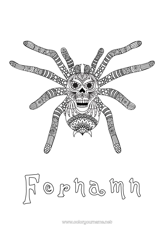 Färgläggningssida att skriva ut Spindel Djur Zentangle Insekter