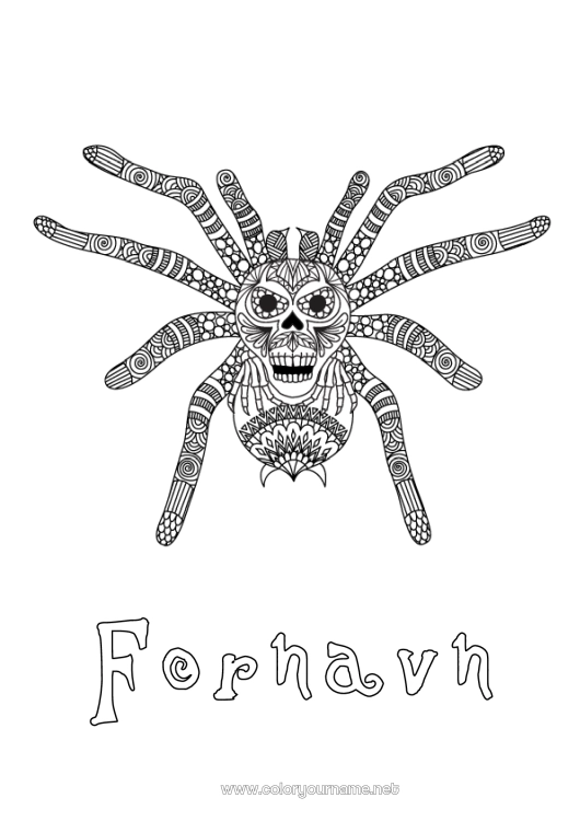 Farvelægningssiden til udskrivning Edderkop Dyr Zentangle Insekter