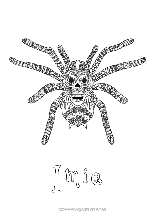 Kolorowanka do wydruku Pająk Zwierzę Zentangle Owady