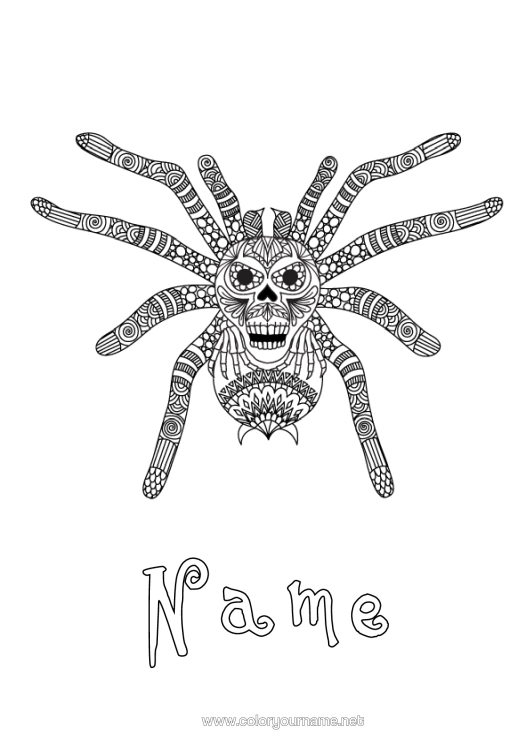 Colouring page to print Spider Animal Zentangle Insects