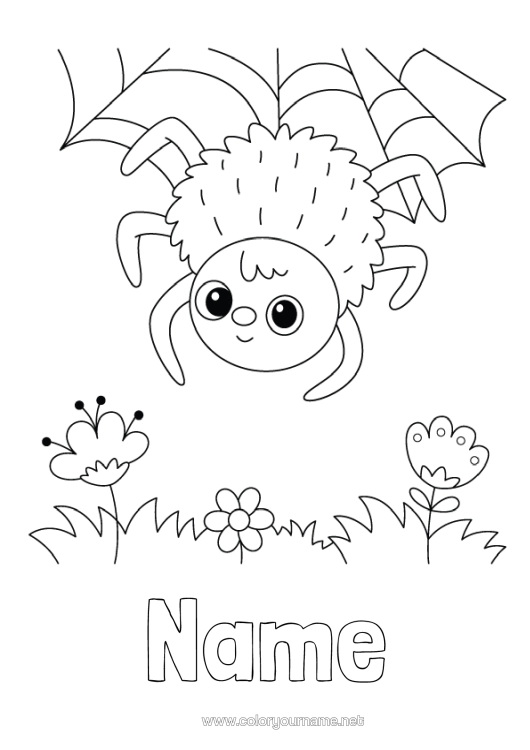 Colouring page to print Spider Animal Insects Cobweb