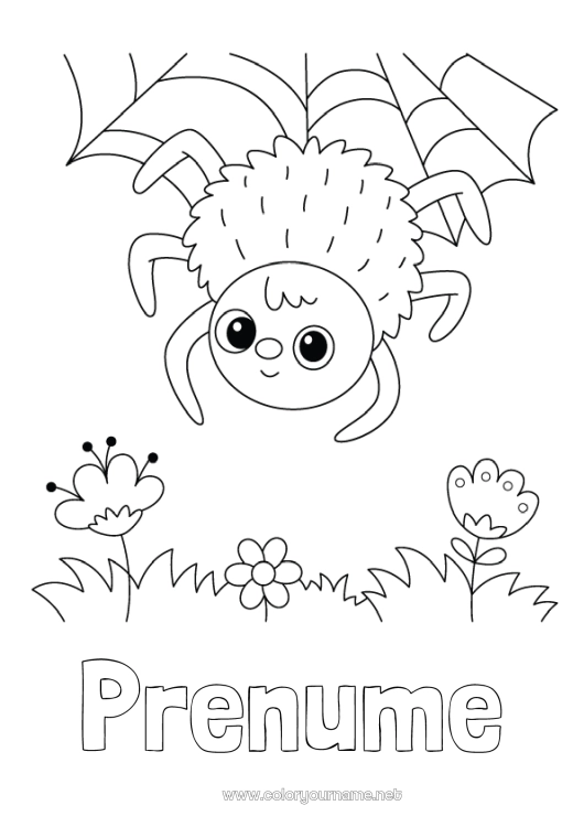 Pagină de colorat de imprimat Păianjen Animal Insecte Pânză de păianjen
