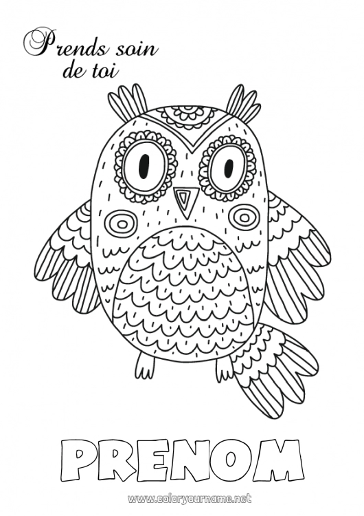 Coloriage à imprimer Calme et zen Malade Mandala Chouette, Hibou Animal Oiseaux et mammifères volants