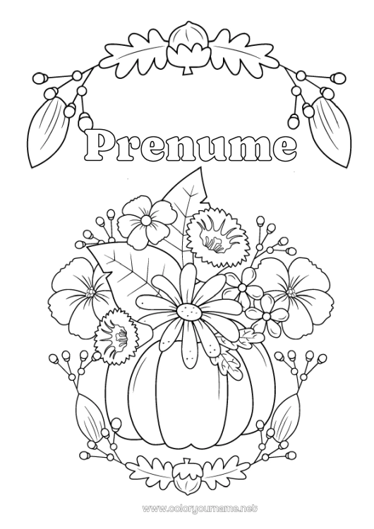 Pagină de colorat de imprimat Dovleac Flori Toamnă Gland