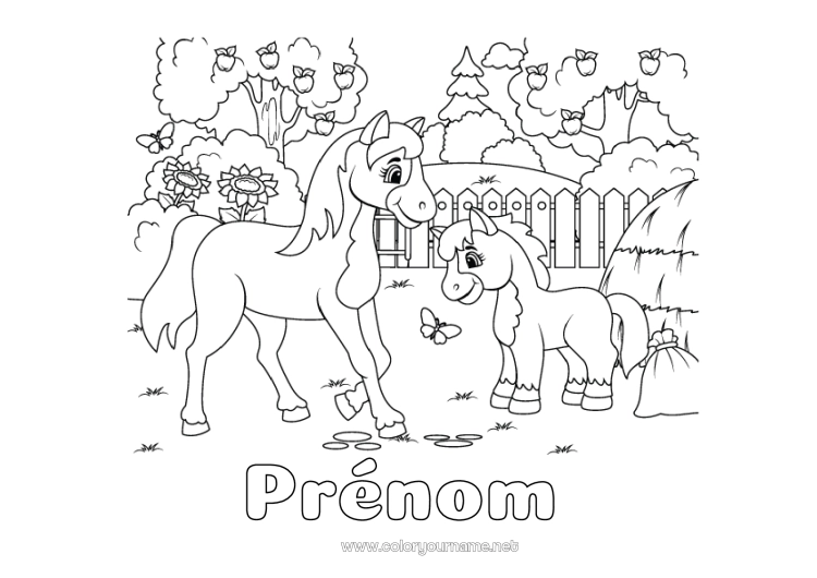 Coloriage à imprimer Cheval Animal Ferme Fruits Animaux de la ferme Pomme Poney