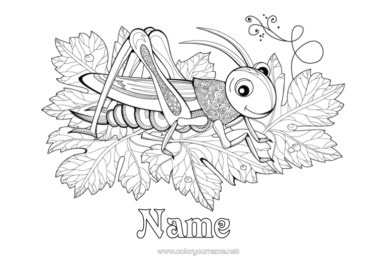 Colouring page to print Animal Complex Colouring Pages Zentangle Insects Cicada