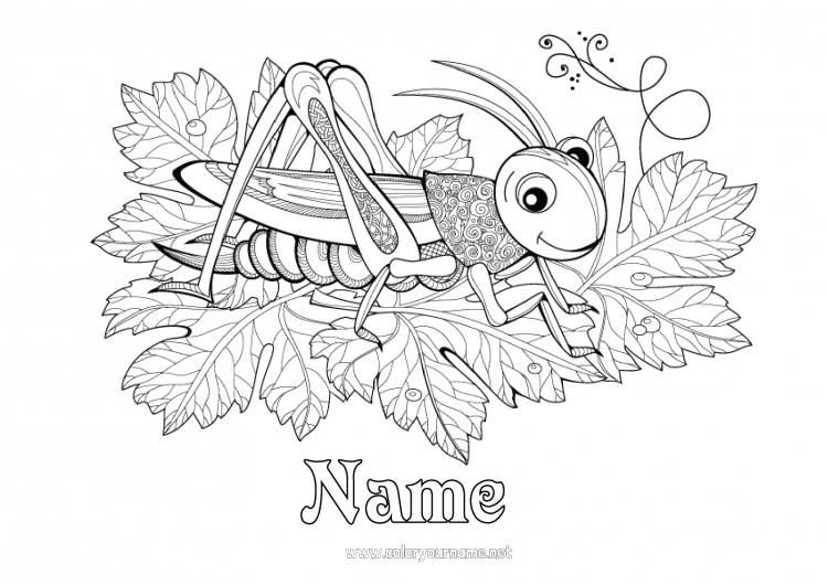 Coloring page to print Complex coloring pages Zentangle Insects Cicadas