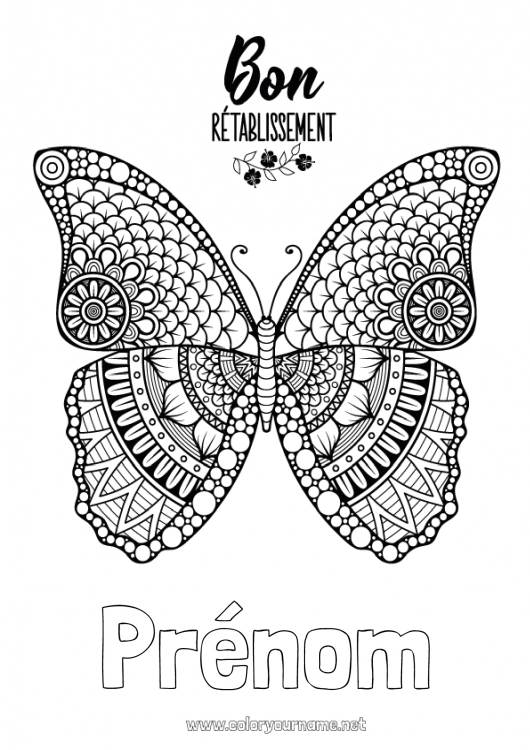 Coloriage à imprimer Calme et zen Malade Mandala Papillon Animal Insectes