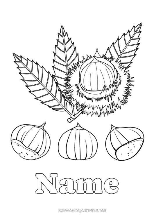 Colouring page to print Tree Chestnut