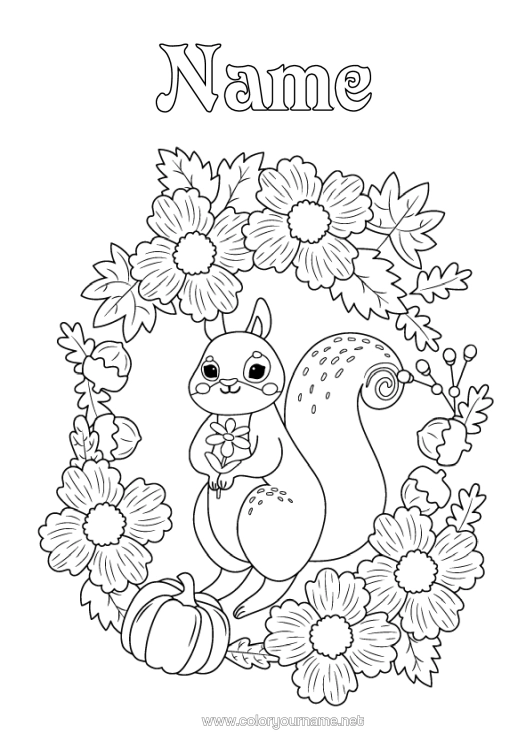 Colouring page to print Pumpkin Squirrel Autumn Animal Leaves Forest Animals
