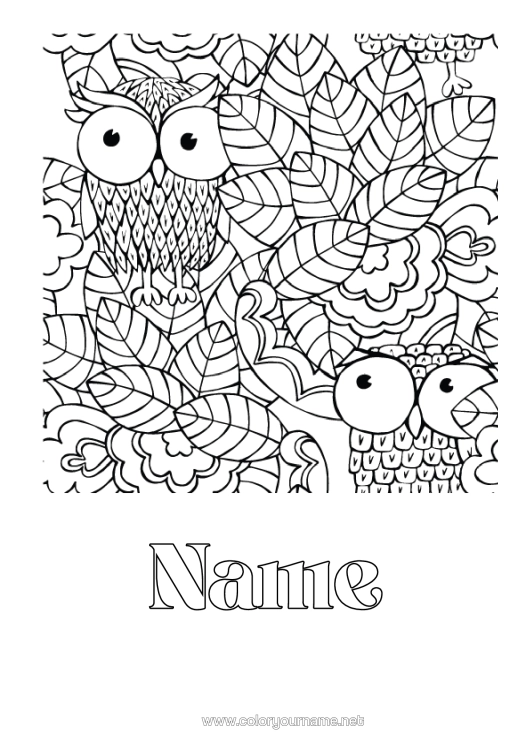 Colouring page to print Owl, Tawny Owl Leaves Birds And Flying Mammals