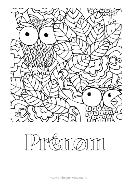 Coloriage à imprimer Chouette, Hibou Feuilles Oiseaux et mammifères volants