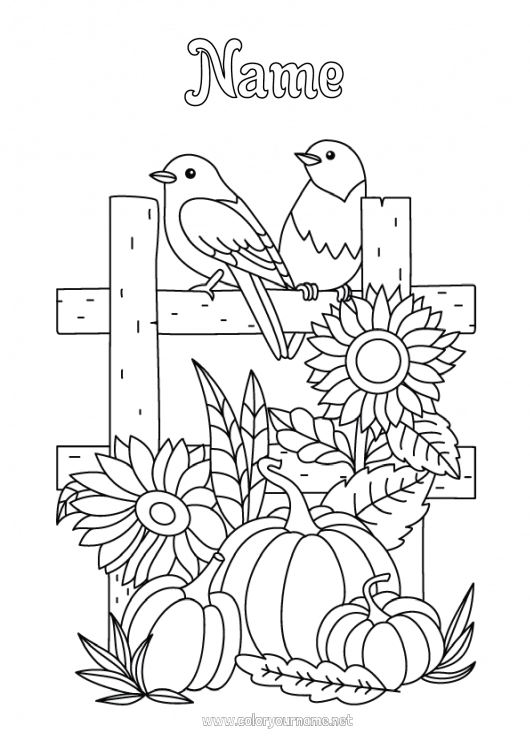 Coloring page to print Pumpkin Bird Autumn Flying birds and mammals