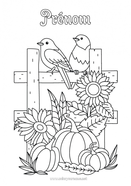 Coloriage à imprimer Citrouille Oiseau Automne Oiseaux et mammifères volants