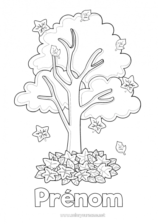 Coloriage à imprimer Automne Feuilles Arbre