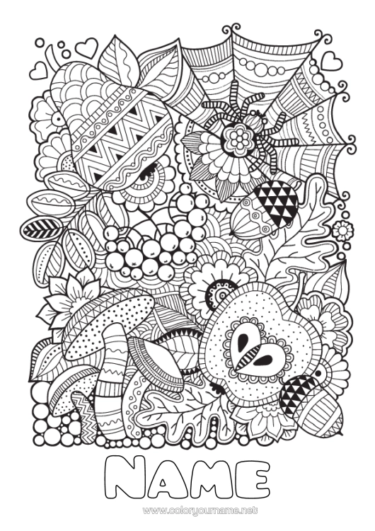 Colouring page to print Spider Autumn Zentangle Insects Gland