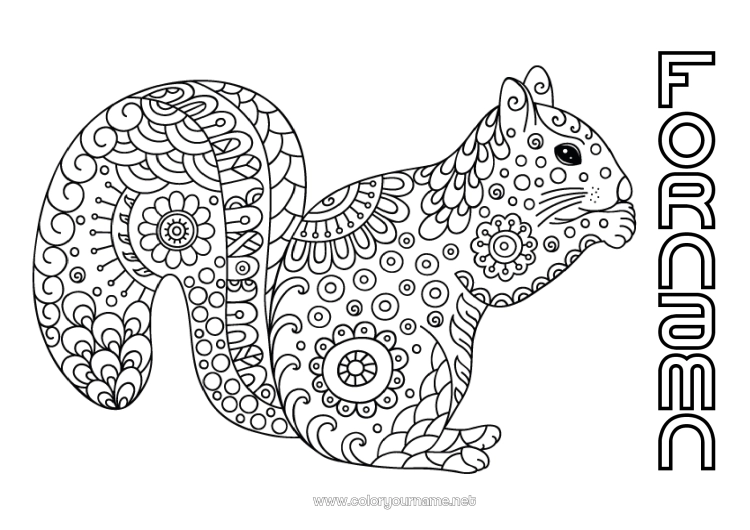 Färgläggningssida att skriva ut Lugn och zen Mandala Ekorre Höst Djur Doodle Zentangle Antistress Skogens djur