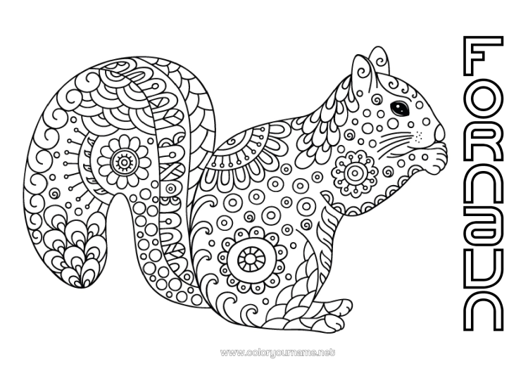 Fargeleggingssiden til utskrift Rolig og zen Mandala Ekorn Høst Dyr Doodle Zentangle Anti-stress Skogsdyr