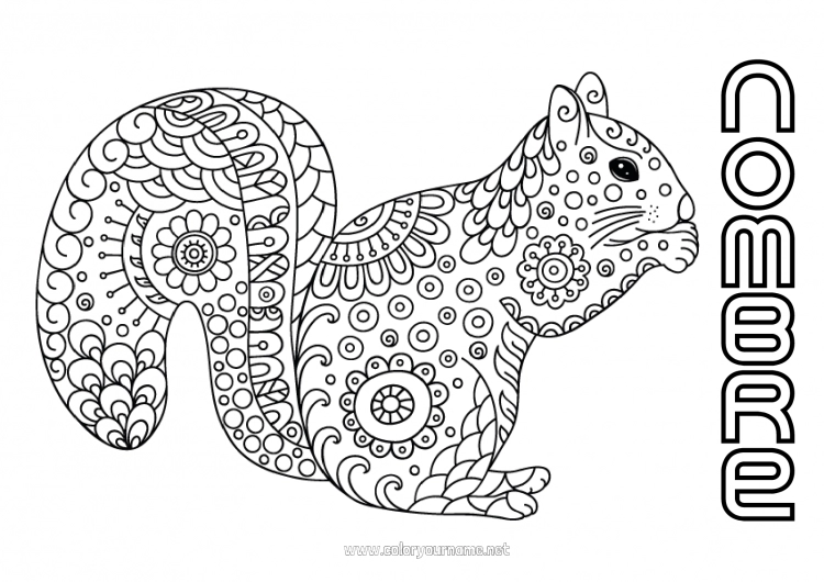 Dibujo para colorear para imprimir Calma y zen Mandala Ardilla Otoño Doodle Zentangle Antiestrés Animales del bosque