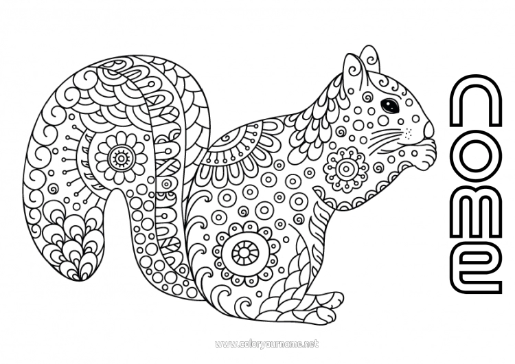 Página de desenho para imprimir Calmo e zen Mandala Esquilo Outono Doodle Zentangle Anti-stress Animais da floresta