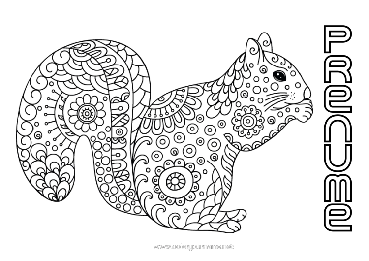 Pagină de colorat de imprimat Liniștit și zen Mandala Veveriță Toamnă Animal Doodle Zentangle Anti-stres Animale din pădure