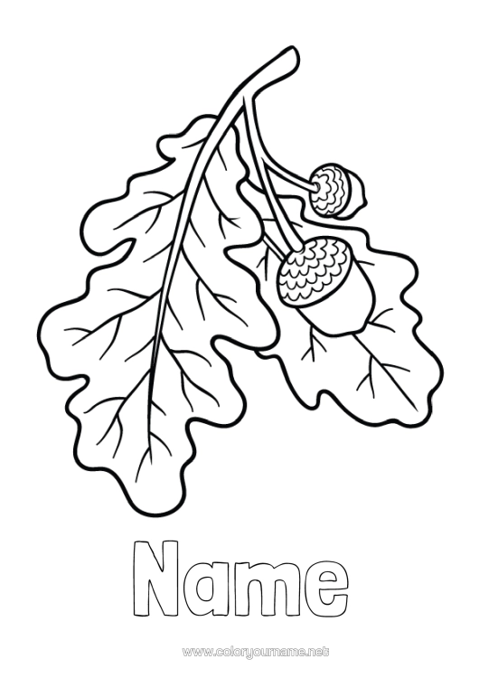 Colouring page to print Gland Oak