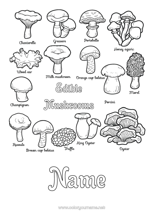 Colouring page to print Children's Activities Mushroom
