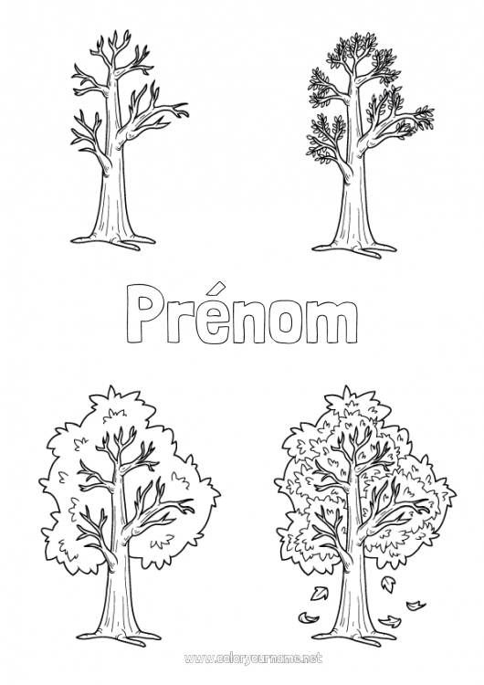 Coloriage à imprimer Arbre Saison