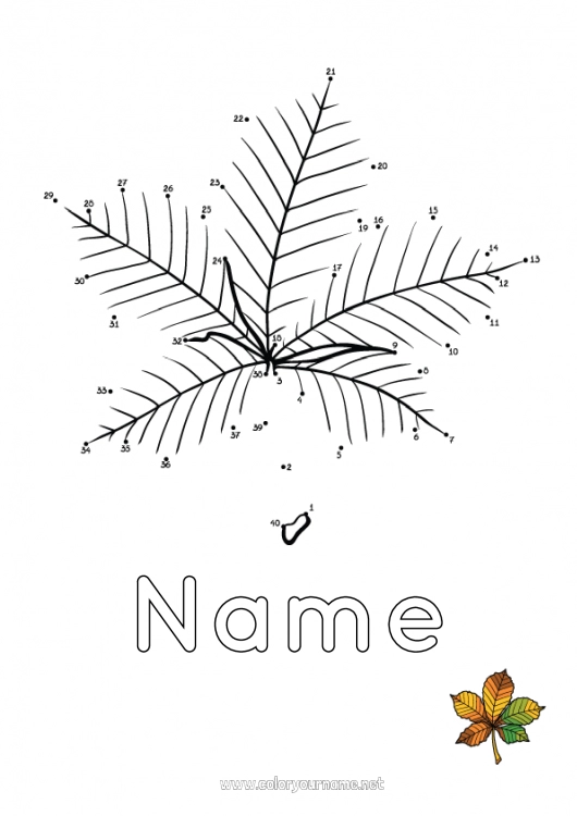 Coloring page to print Autumn Leaves Connect the dots Trace and color