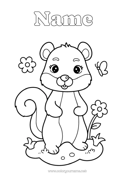 Colouring page to print Squirrel Animal Forest Animals