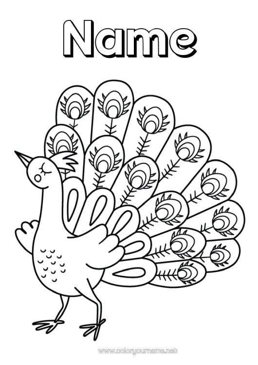 Colouring page to print Animal Peacock Birds And Flying Mammals