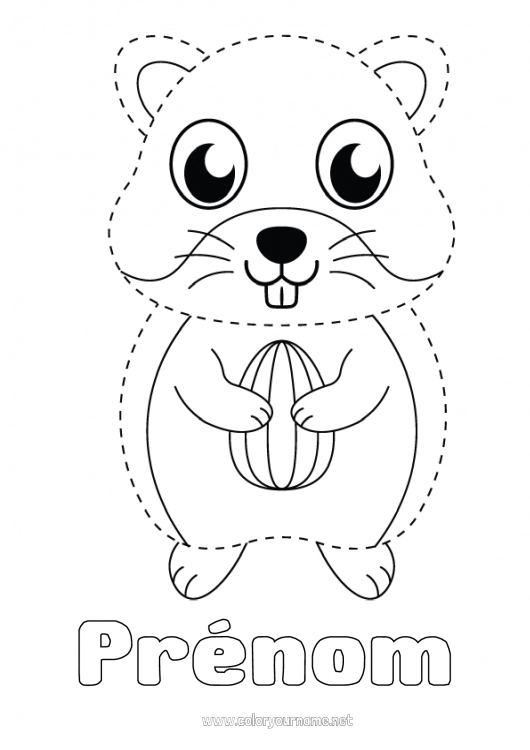 Coloriage à imprimer Activités enfants Coloriages faciles Trace et colorie Autres animaux du monde Hamster