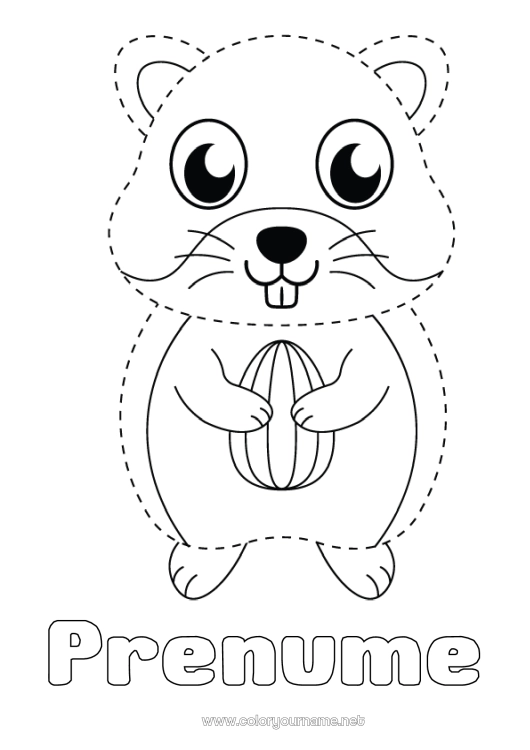Pagină de colorat de imprimat Activități pentru copii Animal Desene de colorat ușoare Urmează și colorează Alte animale din lume Hamster