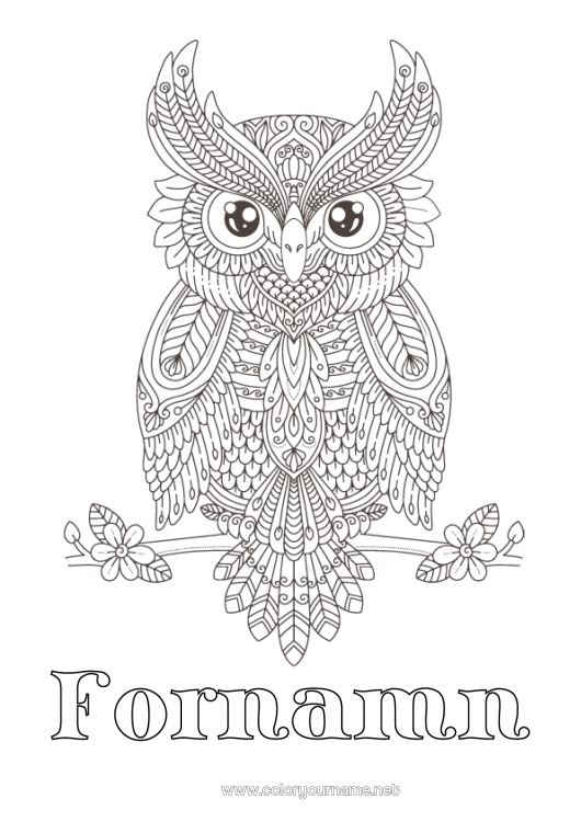 Färgläggningssida att skriva ut Uggla, Hök Djur Komplexa målarbilder Zentangle Fåglar och flygande däggdjur