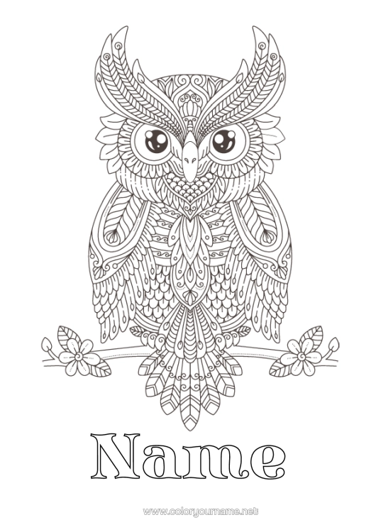 Colouring page to print Owl, Tawny Owl Animal Complex Colouring Pages Zentangle Birds And Flying Mammals