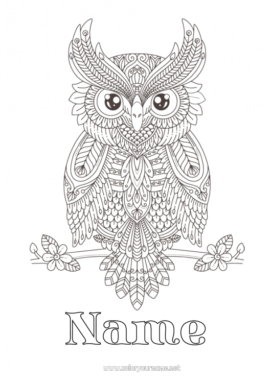 Coloring page to print Owl Complex coloring pages Zentangle Flying birds and mammals