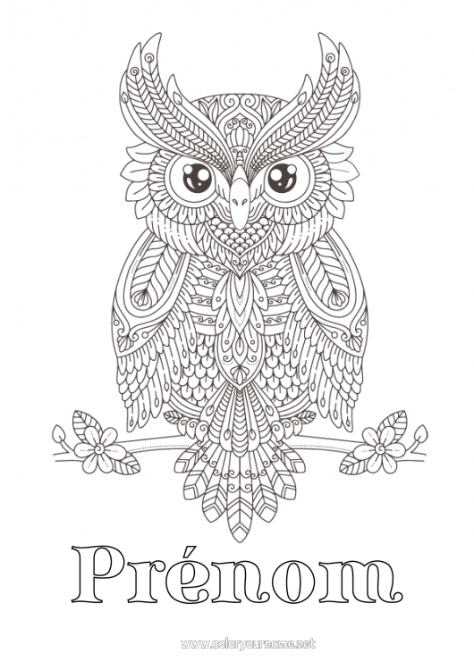 Coloriage à imprimer Chouette, Hibou Coloriages complexes Zentangle Oiseaux et mammifères volants