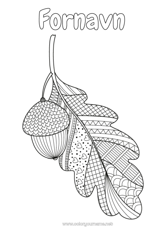 Fargeleggingssiden til utskrift Høst Zentangle Anti-stress Kjertel Eik