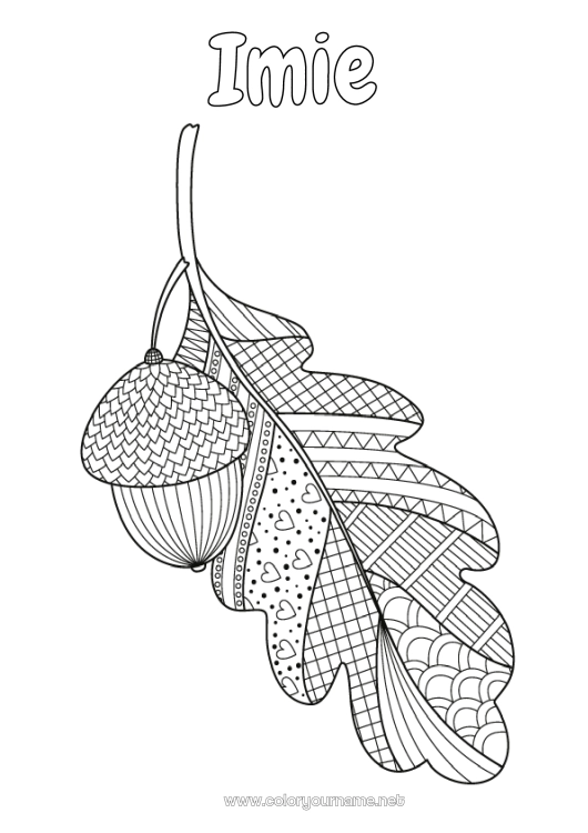 Kolorowanka do wydruku Jesień Zentangle Antystres Żołądź Dąb