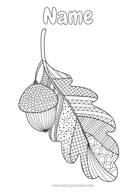 Colouring page to print Autumn Zentangle Anti-Stress Gland Oak