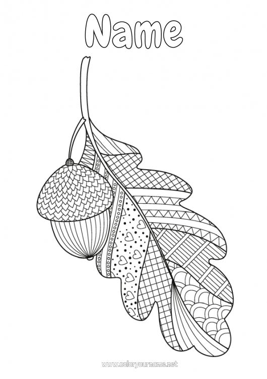 Coloring page to print Autumn Zentangle Antistress Acorn Oak